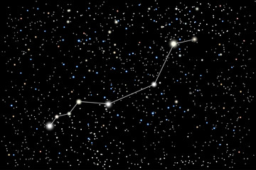 Vector illustration of the constellation Lynx on a starry black sky background. The astronomical cluster of stars in the constellation in the northern celestial hemisphere.  © dore art