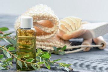 Eucalyptus essential oil in the bottle and a tree eucalyptus tree branch with green leaves close up.