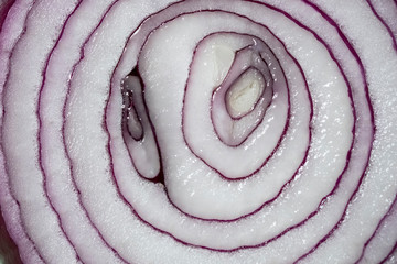 Slice of red onion. Cut into slices, macro.