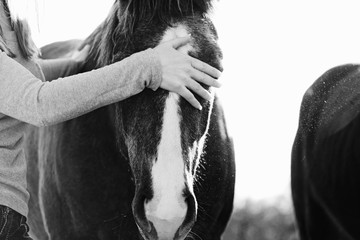 Woman petting horse close up on farm, animal companion concept.