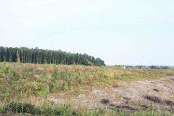 Large-scale deforestation in Ukraine