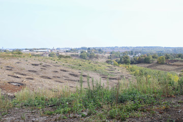 Large-scale deforestation in Ukraine
