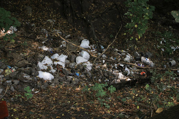 A huge dump in the forest
