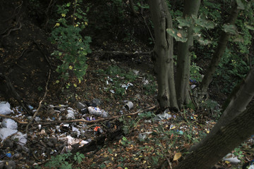 A huge dump in the forest