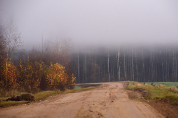 Fog above countryside road. Foggy morning. Fall season.