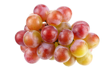 blue grapes berries isolated on white background. macro