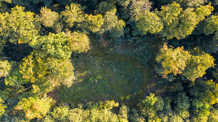 Felder - Wald - Wiesen - Luftbild