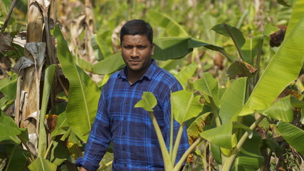 farmer in corn field