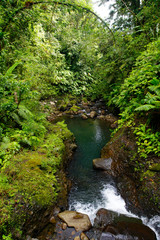 Mountain stream inside a tropical forest located in the National Guadeloupe park, Basse-Terre, Guadeloupe