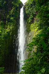 Chute du Carbet - second Carbet - one of three waterfalls inside a tropical forest located in Basse-Terre, Guadeloupe