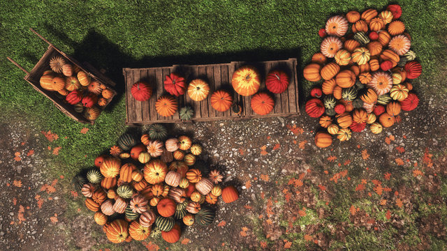 Top view of various colorful autumn pumpkins for sale at outdoors country market for Thanksgiving or Halloween holidays. With no people festive fall season 3D illustration.