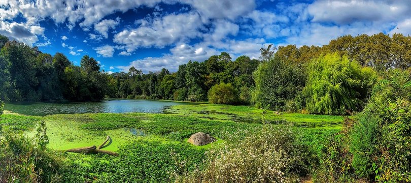 Prospect Park, Brooklyn, New York