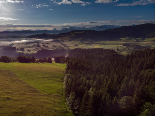 Plakat Morgennebel im Tal - Schweiz