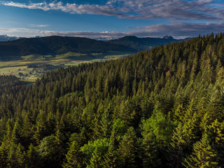 Berwald in der Schweiz - Luftbild