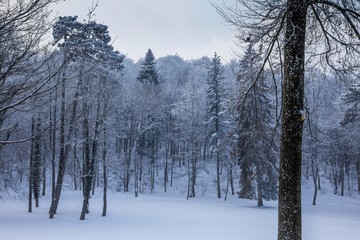 Schloss Lichtenstein im Winter