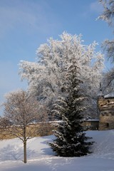 Schloss Lichtenstein im Winter