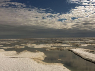 Summer views of the Arctic ocean