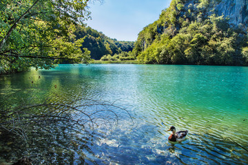 Park Narodowy jeziora Plitwickie, Chorwacja, UNESCO 