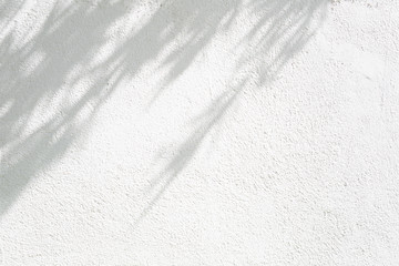 abstract brights wall texture with tree shadow