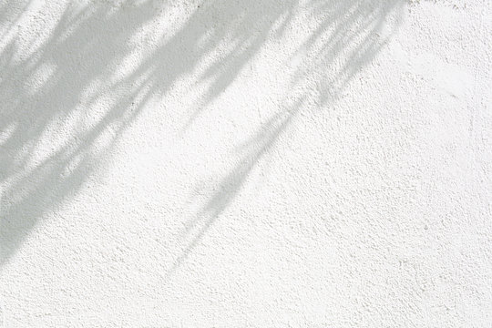 abstract brights wall texture with tree shadow