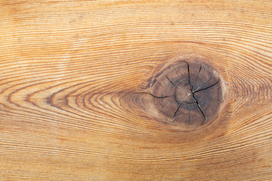 wood texture background with knot 