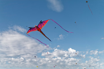 Flying kites.