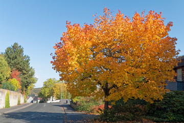 Naklejka premium Autumn in a small town.