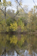 Autumn Reflection