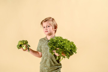 Little boy making a funny face refusing to eat his broccoli. Fresh vegetables.Healthy food for...