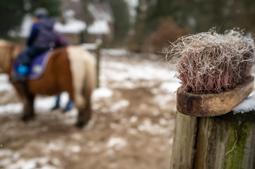 Soft brush for grooming horses lies on a wooden fence post, on a blurry background of a pony and...