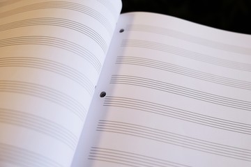 Blank double pages for musical notes 01_Close up with selective focus
