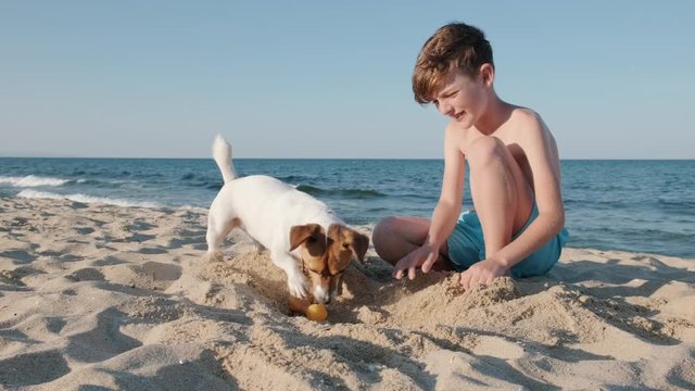 Happy boy and his dog Jack Russell Terrier play on the beach and dig hole in the sand, where bone is buried against the background of sea waves and blue sky in summer. Weekend with family. Pet