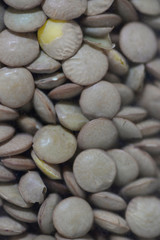 Fototapeta na wymiar Lens culinaris or lentils pardinas