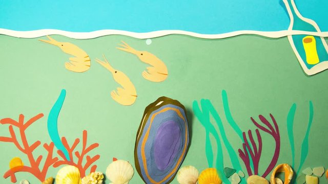 Mussel shell under water shrimp bottle waves reef stop motion animation paper art craft handmade cartoon for your brand logo