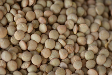 Lens culinaris or lentils pardinas