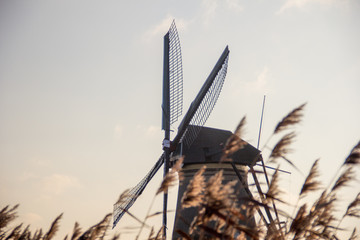 Windmill 1