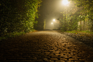 Misty cobblestone street in forest, foggy road in forest, lanterns, light beams, misty