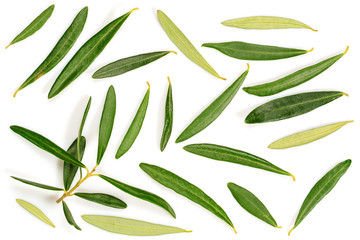 Real olive green fallen leaves, isolated on white background, close-up flat lay top view.