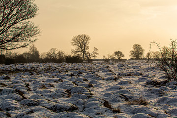 Winter morning with snow in a nature reserve