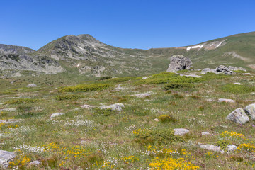 Landscape near Belmeken Peak, Rila mountain, Bulgaria