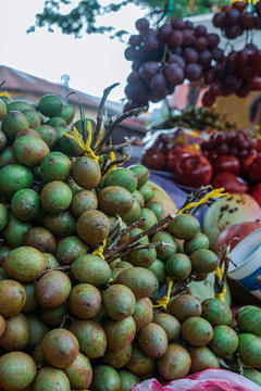 Tropical fruit of South and Central America. Melicoccus biju, mam&oacute;n, quenepa, mamoncillo, anoncillo, moj&oacute;n, huaya, maco, cojoncillo, chupalotes, guaretones, mamal&oacute;n, chupones, g&uuml;evillos, limoncillo