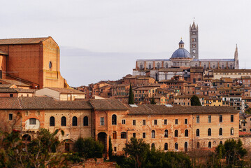 Fototapeta premium Italy Siena