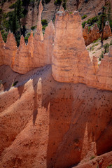 Bryce Hoodoos