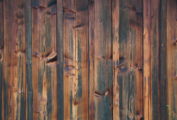 Hölzerne Bretter einer Wand eines alten Schuppens in einem Naturschutzgebiet