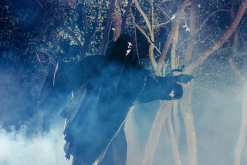 Portrait of the angel of death, grim reaper while standing in a mystical wood at night.