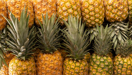 Group of pineapples organized against each other