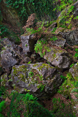 Felsenlandschaft 