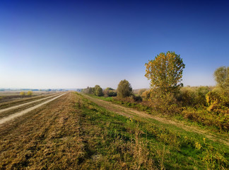 Obraz premium Country dirt road and blue sky