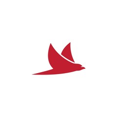 Fototapeta premium Bird Logo