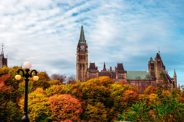 Wide Shot of Fall Foliage in Front of Canadian Parliament Building - obrazy, fototapety, plakaty